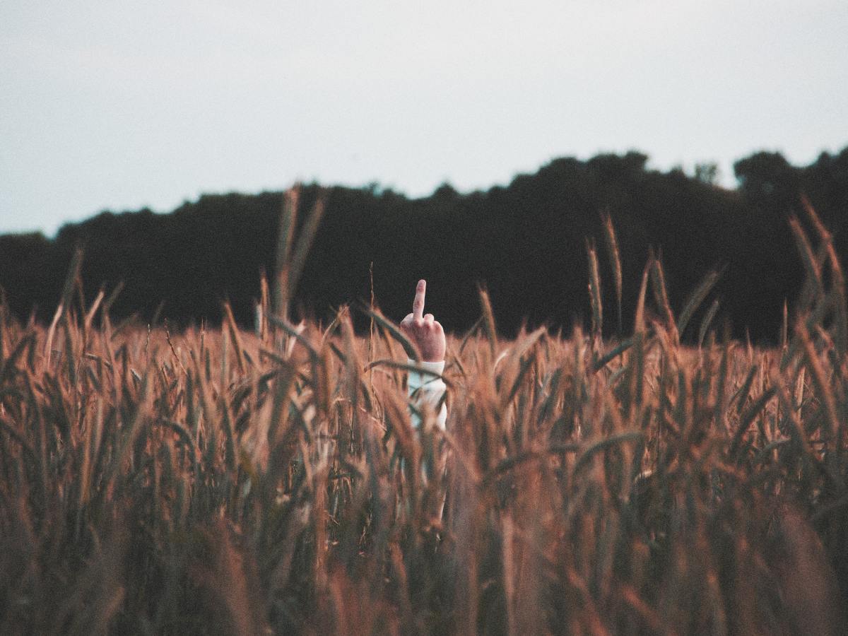 The Pressure series – Part 2: Applying pressure in&nbsp;Scotland